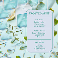 Load image into Gallery viewer, Touchland - Power Mist Frosted Mint
