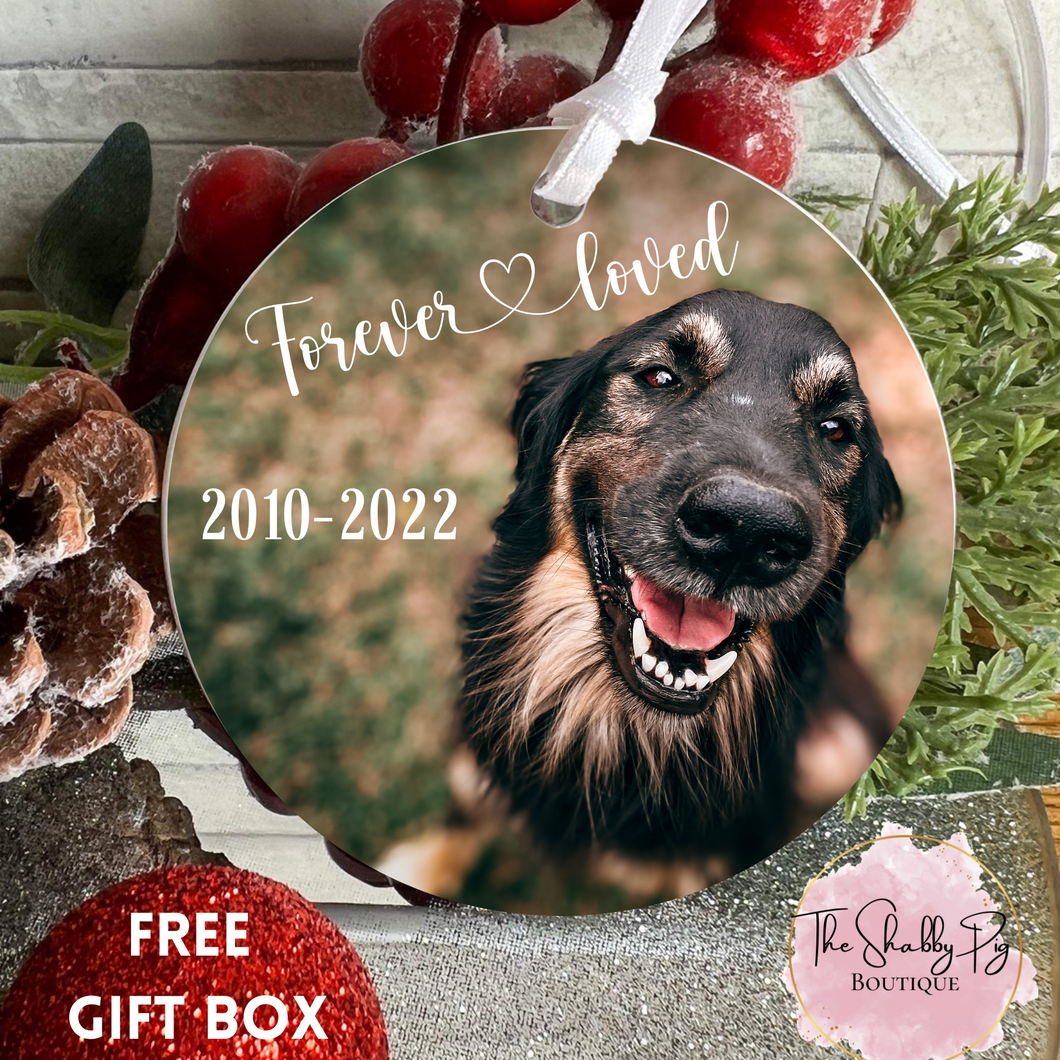 Pet Personalized Ornament  | Memorial Gift